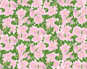 бесшовный фон из розовых цветов шиповника, Print