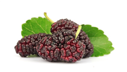 Group of mulberry with leafs