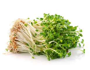 Bean Sprouts on White Background