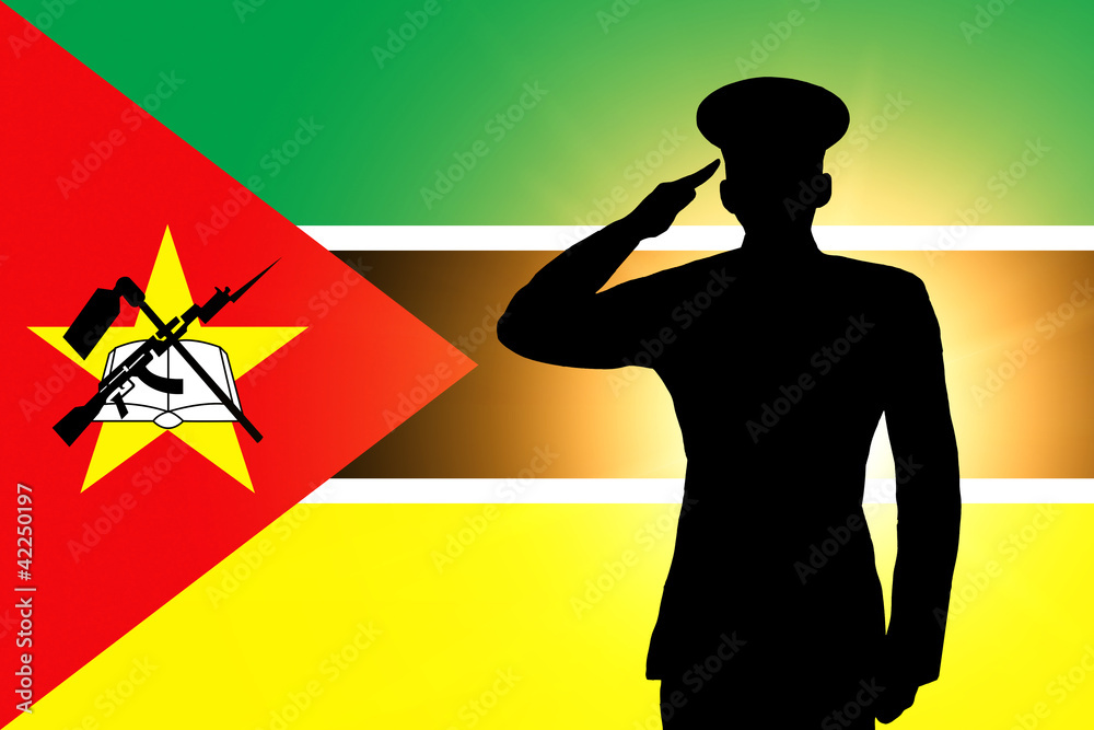 Poster the mozambique flag