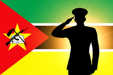 The Mozambique flag