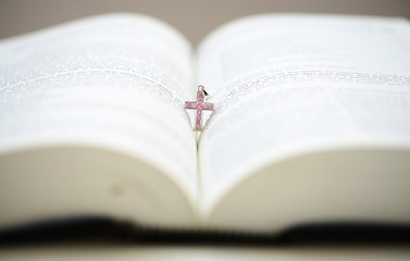 Bible and the Pink Cruxific in the spine