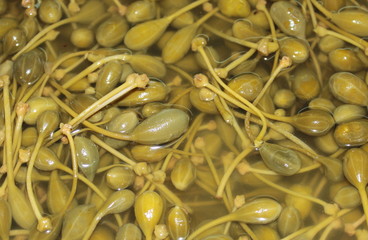 Capperi in salamoia