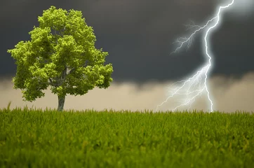 Afwasbaar Fotobehang Onweer de boom en de storm
