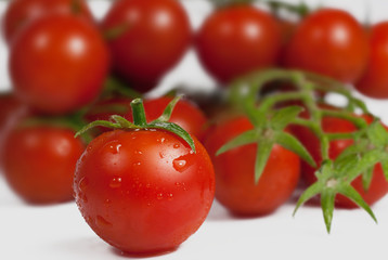 cherry tomato