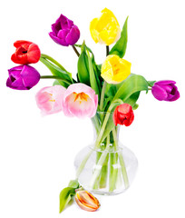 Five colorful tulips