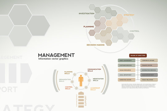 Management infographics - icons, graphs, charts and statistics