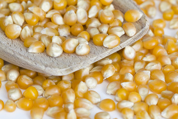 Corn on wooden spoon and white background