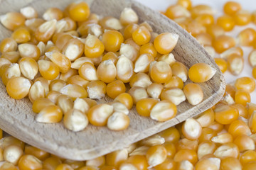 Corn on wooden spoon and white background