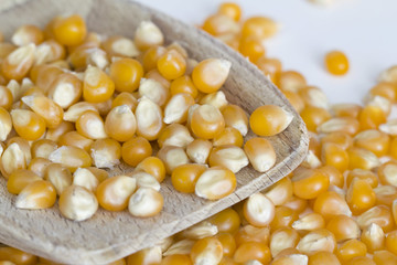 Corn on wooden spoon and white background