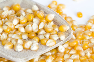 Corn on wooden spoon and white background