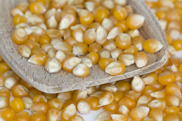 Corn on wooden spoon and white background