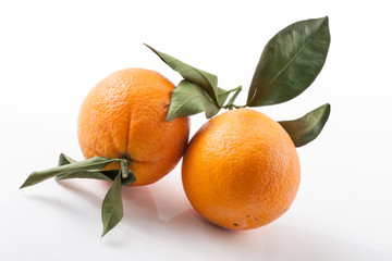 two oranges
