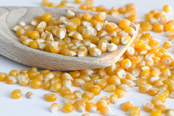 Corn on wooden spoon and white background