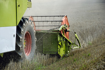 Combine harvesting crops