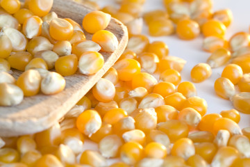 Corn on wooden spoon and white background