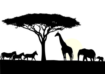 Naklejka premium Africa silhouette background