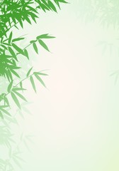 Obraz premium Bambusowy drzewny tło