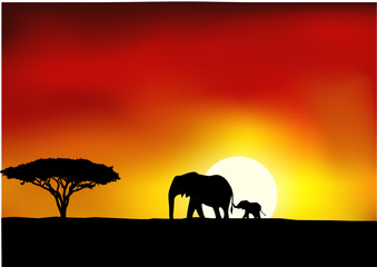 Fototapeta na wymiar Afryka sunset