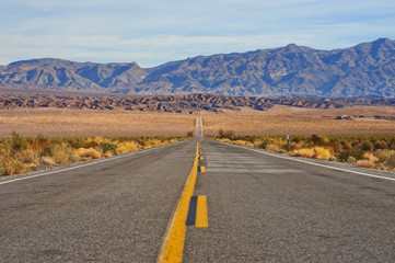 Empty Road in Desert