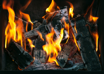 Fototapeta premium Preparing for grilling