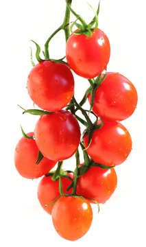 Tomaten Rispentomaten Rote Tomaten