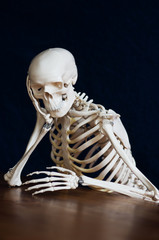 skelett st&uuml;tzt am tisch