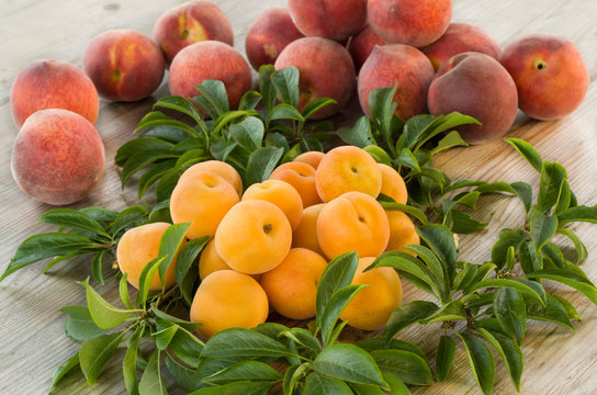 albicocche e sfondo di pesche