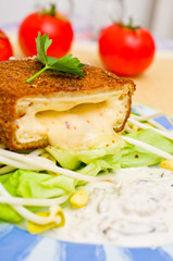 Fried cheese with tatar sauce