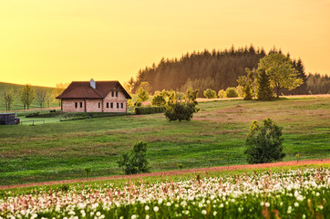 Fototapeta na wymiar Spring meadow with cottage