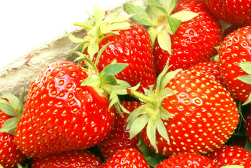 Erdbeeren