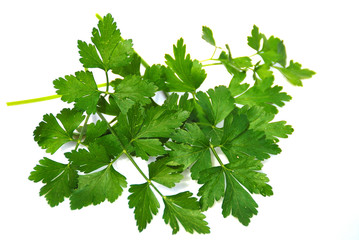 PLANTAS AROMÁTICAS CON SABOR Y AROMA