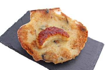 Une coquille saint jacques