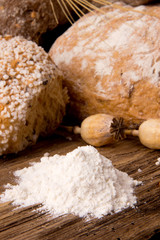 Fototapeta na wymiar assortment of baked bread 