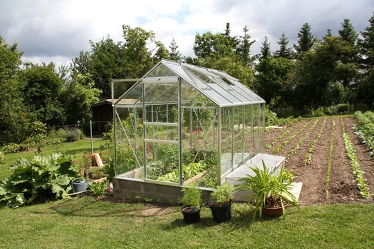 Serre jardin vert terre cultiver cultivateur