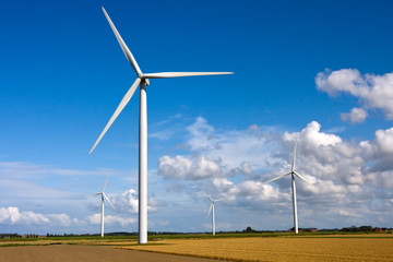 Wind turbines on a field