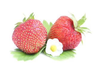 Strawberries
