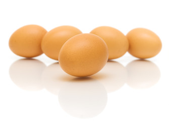 eggs on a white background