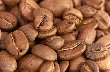 fress coffee beans can use as background