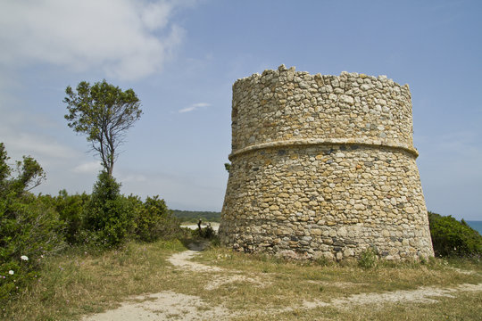 tour genoise corse (aleria)
