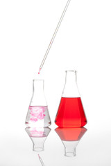 Two laboratory flasks  with a red colored  reagent