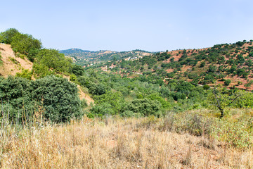 Fototapeta na wymiar country landscape in Portugal