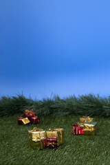 Gifts on the backyard