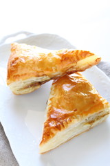 Homemade meat pie on white plate with copy space