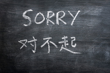 Fototapeta premium Sorry - word written on a smudged blackboard