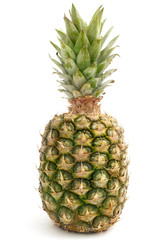Fototapeta premium pineapple
