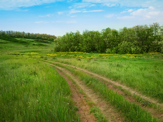 spring landscape