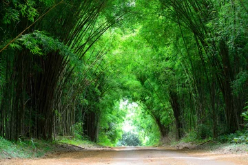 Fotobehang De hoge bamboe bedekt de kleiweg © num_skyman