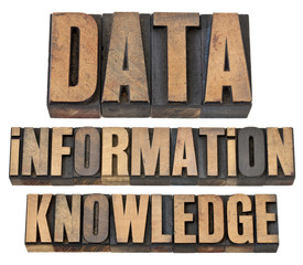 data, information, knowledge in wood type
