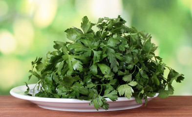 Parsley in a white plate on green background